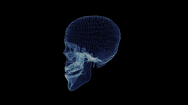 The-hologram-of-a-human-skull