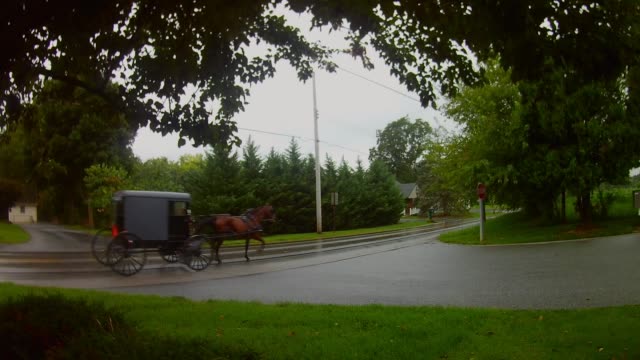 Amische-Transport-Typ-Pferd-und-Buggy-im-Regen