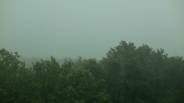 Starker-Regen-und-Wind-schüttelt-die-Bäume.-Hurrikan.
