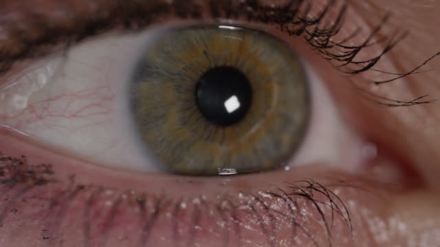 SLOW-MOTION-CLOSE-UP:-Detail-of-green-eye-looking-left-and-right-in-bright-space