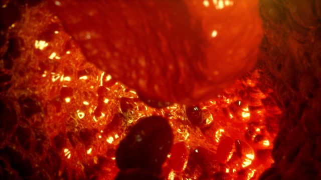 Roten-Blutkörperchen-in-Vene-oder-Arterie,-fließen-im-Inneren-in-einem-lebenden-Organismus.