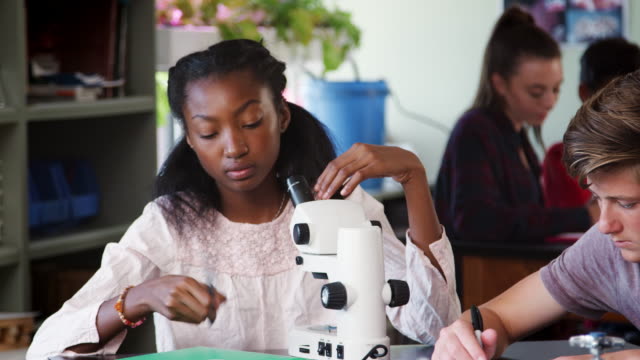 SchülerInnen-und-Schüler-durch-Mikroskop-suchen-und-Schreiben-von-Notizen-im-Biologieunterricht