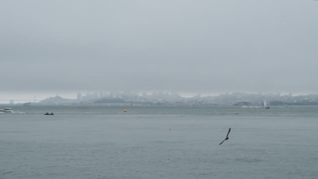 Nebligen-Blick-auf-Skyline-von-San-Francisco-und-Oakland-Bay-Bridge-in-San-Francisco-mit-Booten-und-Vögel