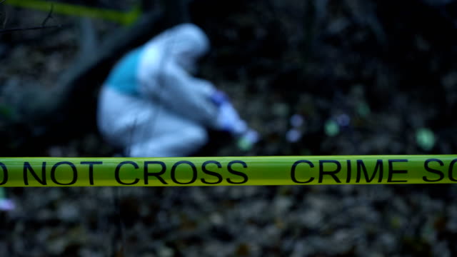 Forensic-science-expert-working-at-crime-scene,-evidence-collection,-murder-site