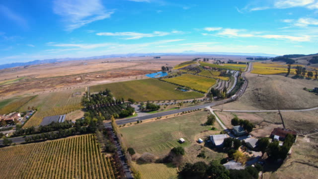 Aerial-View-Above-Vineyards-in-Sonoma-County-California
