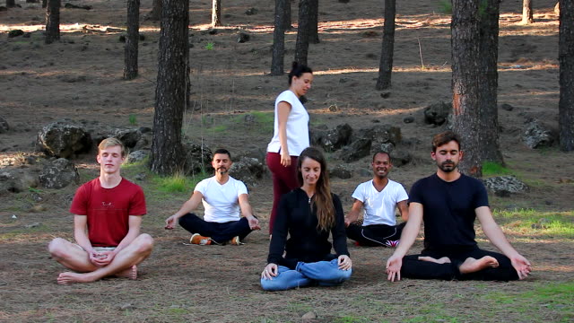 Grupo-étnico-multi-en-clase-de-meditación-de-yoga-siguiendo-las-instrucciones-del-maestro-en-el-parque-de-bosque-de-árboles-de-pino