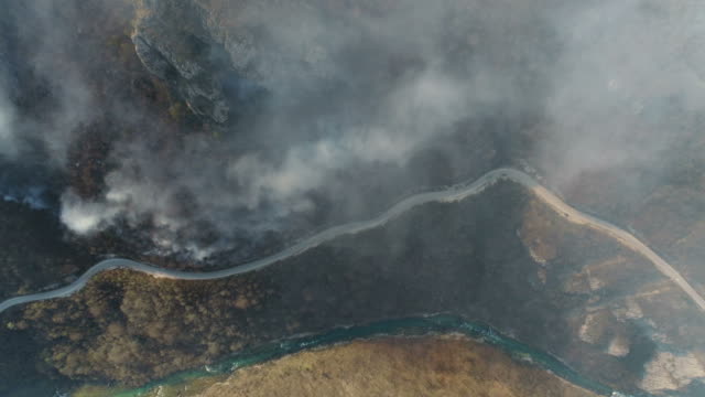Aerial-vertical-footage-of-the-woods-covered-in-thick-smoke,-with-a-road-and-a-river-near-by