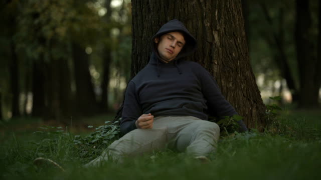 Vulnerable-alcoholic-sleeping-under-tree-in-park,-careless-and-crazy-youth