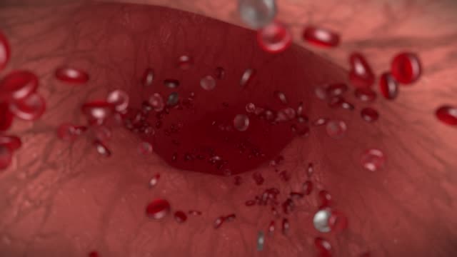 Rote-Blutkörperchen-weißen-Vene-Arterie-Bloodcells-Biologie-Medizin-Arzt-4k