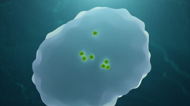 Virus-Angriff-auf-eine-Zelle.-Gesundheitswesen,-Infektion-und-Immunschwäche-Konzept