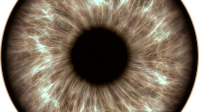 Ojo-humano-marrón-dilatar-y-contraer.-Muy-detallada-extreme-Close-up-de-iris-y-pupila.