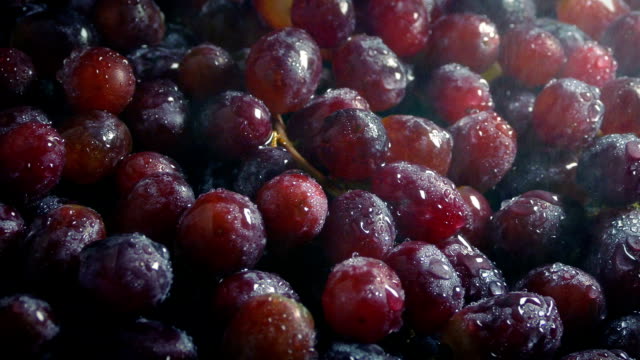 Juicy-Grapes-Getting-Sprayed-With-Fine-Mist