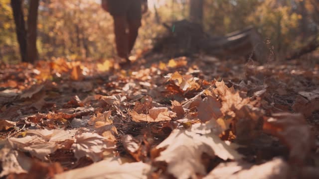 Hombre-pisando-tierra-en-bosque-del-otoño,-patear-el-follaje,-primeros-plano-de-pies
