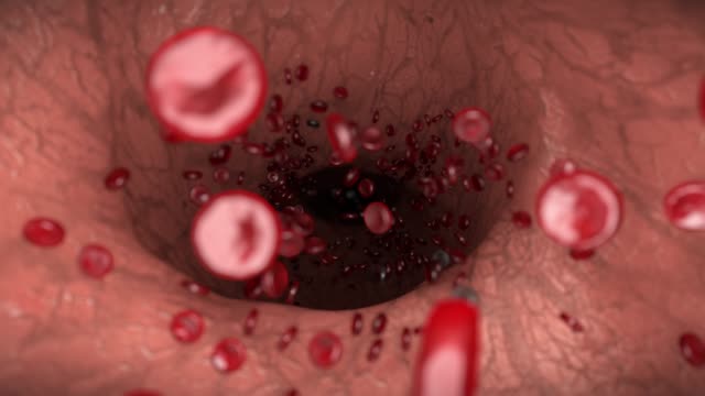 Rote-Blutkörperchen-weißen-Vene-Arterie-Bloodcells-Biologie-Medizin-Arzt-4k