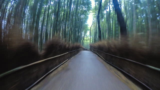 4K,-Time-Lapse-Arashiyama-Bambushain-Hyperlapse-in-Kyoto-in-Japan