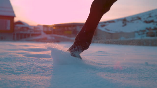 SLOW-MOTION-CLOSEUP:-Pferd-Wandern-im-Neuschnee,-Spritzen-Schneeflocken-über-Sonne
