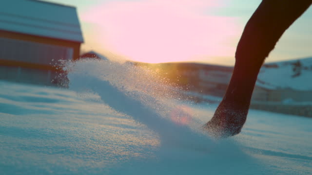 Zeitlupe:-Braune-Pferd,-zu-Fuß-durch-den-tiefen-Schnee-bei-nebligen-Winter-Sonnenaufgang.