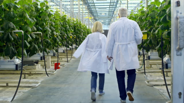 Agronomists-Walking-in-Greenhouse