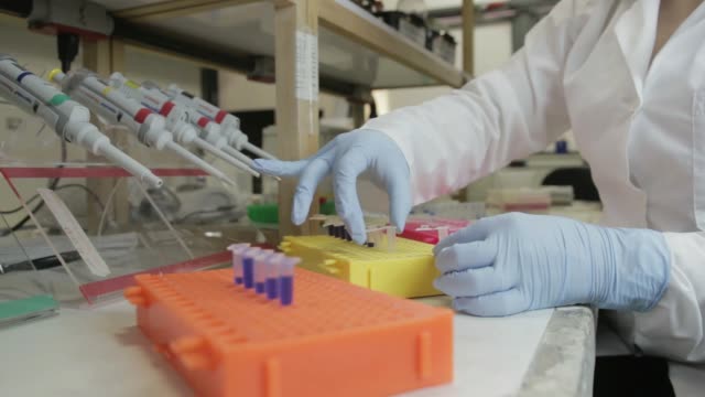 Un-investigador-transferir-las-muestras-a-frascos-más-pequeños-en-un-laboratorio-de-genético-en-la-Universidad-de