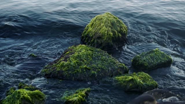 Waves-crash-into-moss-covered-rocks.-Slow-Motion.