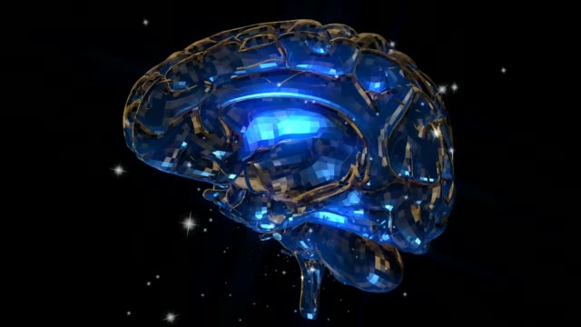 Menschliche-Gehirn-Animation