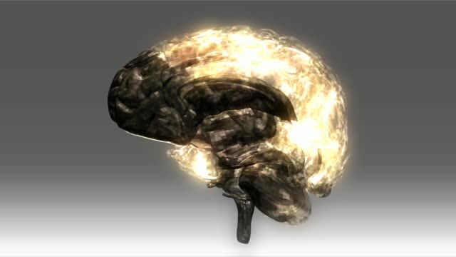 Animación-de-cerebro-humano