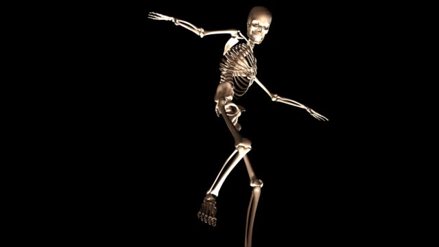 Digital-3D-Animation-of-a-posing-Skeleton