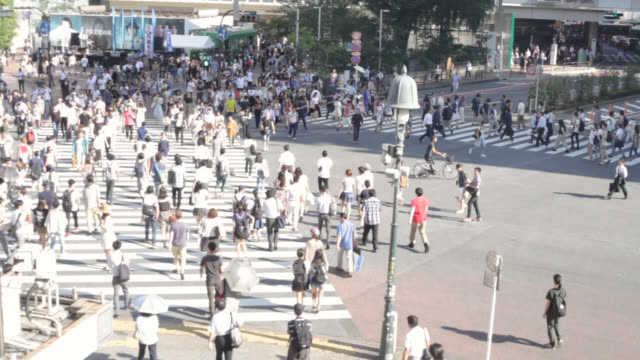 Tokyo-Straßen-drängten-wandernde-Menschen-sich-in-shibuya