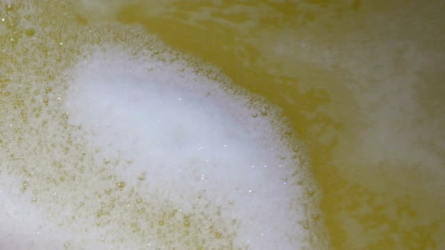 La-fermentación-debe
