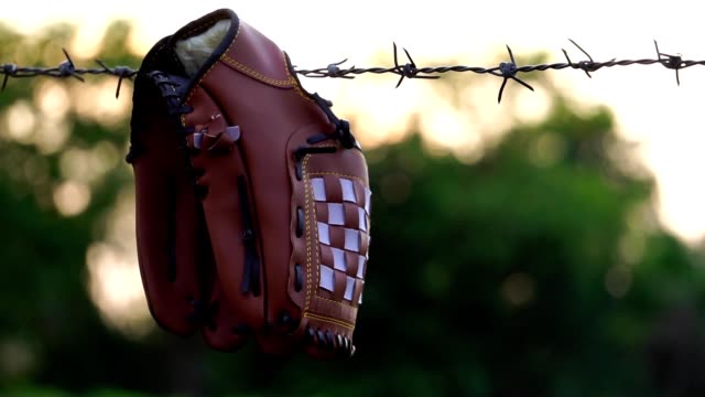 Move-the-view-of-a-baseball-glove-with-the-fence-of-the-field-practice