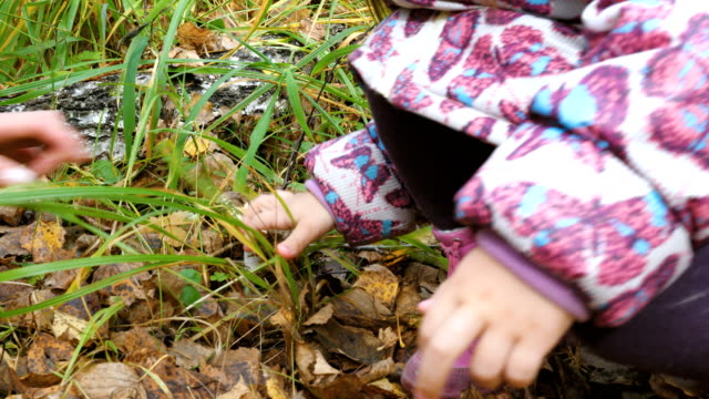 Mom-teaches-her-little-daughter-to-pick-mushrooms.