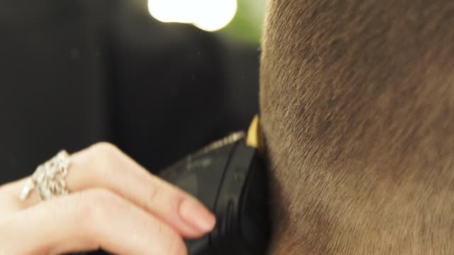 Hairdresser-cutting-hair-with-trimmer-in-barber-shop-close-up.-Hair-clipper-for-male-hairstyle-in-beauty-studio.-Haircutter-making-haircut-with-electric-razor