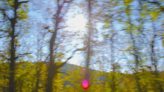 Autumn-Driving---Driving-on-a-mountain-road-on-a-beautiful-autumn-day.-POV-shot-from-the-side-window-of-a-car,--hand-held-camera