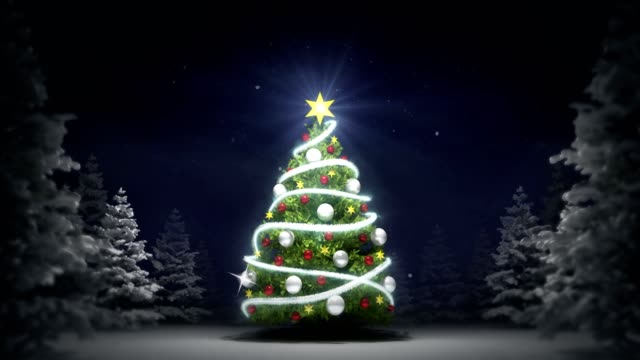 Christmas-tree-revelation-in-winter-night-nature-at-snowfall