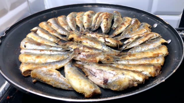 Fisch,-Sardinen-Sardellen