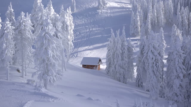 Splendid-winter-landscape-of-mountains-and-fir-trees-covered-with-snow,-isolated-little-wooden-cottage,-skiers-on-slope,-timelapse-of-lights-and-shadows