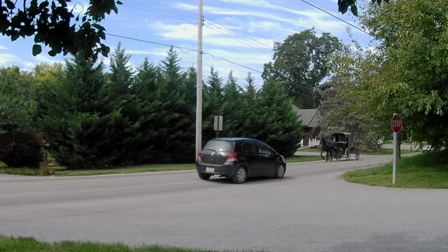 Buggy-y-caballo-de-tipo-Amish-transporte-Pick-Up