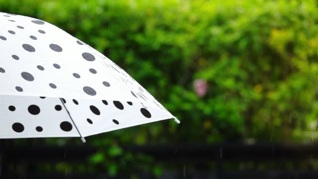 Paraguas-de-lunares-en-la-lluvia,-el-concepto-de-gestión-del-riesgo.