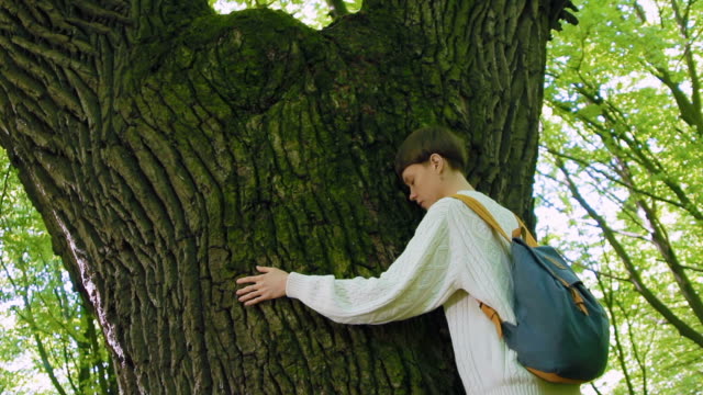 Mädchen-umarmt-einen-großen-Baum-im-Wald.