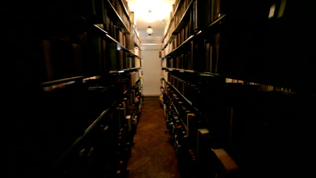 In-der-dunklen-Bibliothek-eine-Frau.