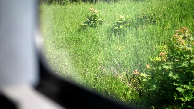 Train-view-through-the-window-on-the-meadow-in-slow-motion-180fps