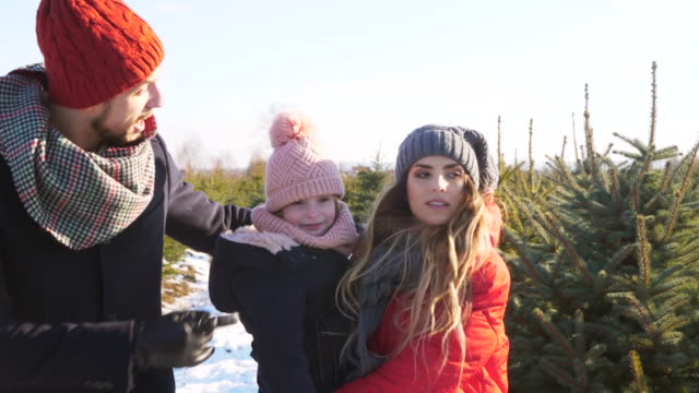 Familia-que-busca-un-árbol-de-Navidad