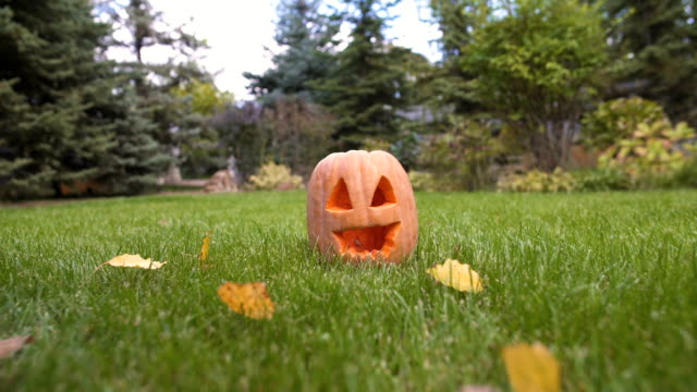 Girl-running-near-pumpkin-Jack-lying-on-lawn,-playing-and-celebrating-Halloween