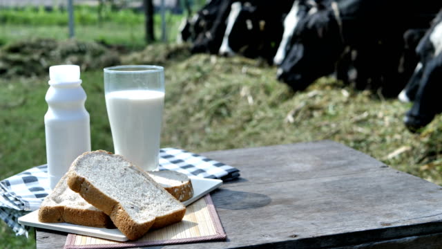 Milk-in-glass-and-bread-breakfast-in-morning.--background-of-dairy-cows-in-a-farm.-Food-and-Healthy-milk-concept.-Slow-Motion