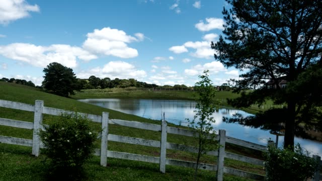Backyard-with-pond-and-tree-in-clear-sky-sunny-day-timelapse