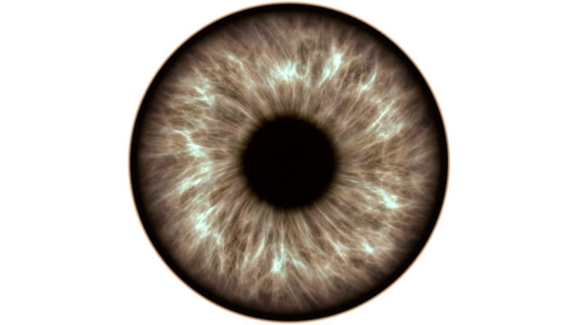 Braune-Auge-Dilatation-und-contracting.-Sehr-detaillierte-extreme-Nahaufnahme-von-Iris-und-Pupille.