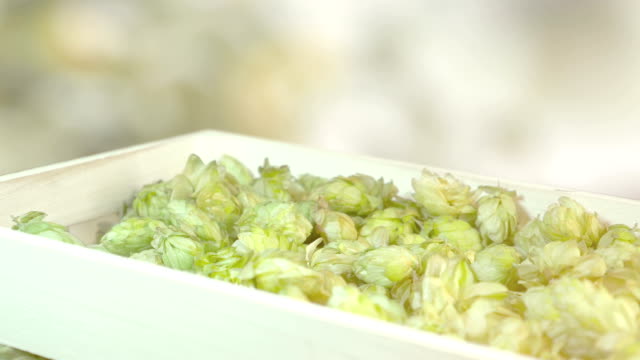 Hops-falling-into-the-box-in-slow-motion-180fps