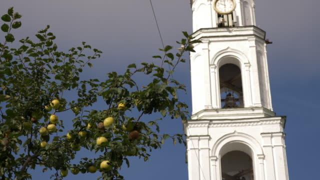Apple-tree-in-front-of-Raif-monastery-bell-tower.-Bell-tower-Church-of-Archangel-Michael