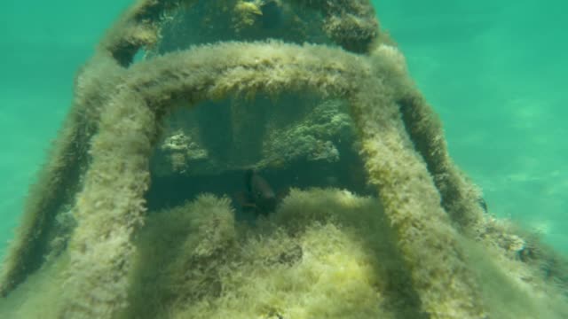 Unterwasser:-Verfallenden-Flugzeug-aus-dem-2.-Weltkrieg-befindet-sich-an-der-Unterseite-des-Ozeans.