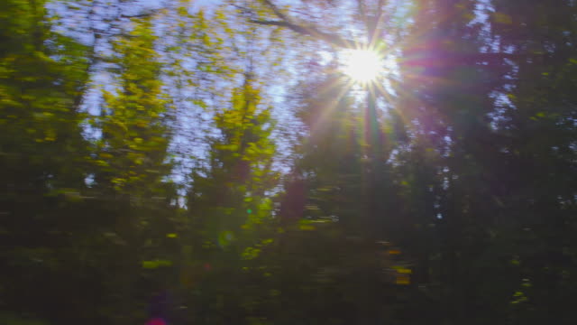 Driving-slowly-on-a-bumpy-mountain-road-on-a-beautiful-autumn-day.-POV-shot-from-the-side-window-of-a-car,-hand-held-camera